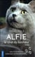 Alfie le chat du bonheur
