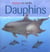 Animaux en famille - dauphins