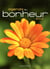 Agenda du bonheur (2013)