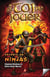 À toi de jouer t.3 - secrets de ninjas