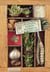 Plantes Porte Bonheur