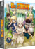 Dr. Stone - Saison 1