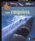 Les requins
