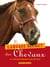 Le Langage Secret Des Chevaux