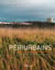Périurbains - territoires, réseaux et temporalités
