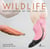 Wildlife Photographer of the Year : Les plus belles photos de nature (édition 2025)