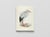 Carnet notes & lecture BNF : oiseaux d'Europe