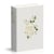 Bible Segond 21 : Journal de bord