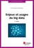 Enjeux et usages du big data (2e édition)
