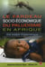 Le fardeau socio-économique du paludisme en Afrique : une analyse
