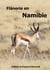 Flânerie en namibie
