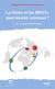 La chine et les brics : quel destin commun ?