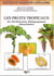 Les fruits tropicaux - en 46 planches pedagogiques detachables