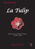 La tulip - histoire du rite du mot de macon de 1637 a 1730