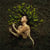 Mauvaise Graine - CD