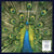 Expecting To Fly - 25th Anniversary