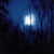 Further - CD