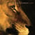 Lions - Vinyle