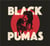 Black Pumas