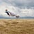 Flying henry