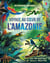 Voyage au coeur de l'Amazonie