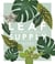 Leaf supply: a guide to keeping happy house plants /anglais
