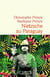 Nietzsche au Paraguay