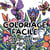 Coloriage facile : Livre anti-stress pour adulte et ado
