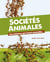Sociétés animales