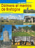 DOLMENS ET MENHIRS DE BRETAGNE