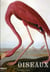 Oiseaux