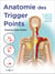 Anatomie des trigger points - un manuel clair et précis pour le traitement des points douloureux