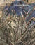 Anselm kiefer morgenthau