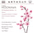 Oeuvres orchestrales (Volume 4)
