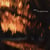 The Light We Chase - édition colorée gatefold