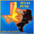 Texas punk from the sixties
