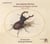 Sonates pour le pardessus de viole