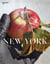 Magazine aperture 242 new york