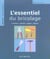 L'essentiel du bricolage