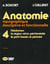 Anatomie T4 - L'abdomen, la région rétro-péritonéale, le petit bassin, le périnée