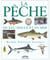 Peche