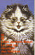 Le chat qui racontait des histoires