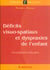 Deficits visuo-spatiaux et dyspraxies de l'enfant.du trouble a la reeducation nouvelle presentation