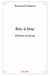 Bric-à-brac - poèmes en prose