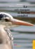 Le cri rauque du heron cendre