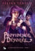La trilogie du voile Tome 3 : providence dévoilée