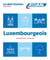 Les cahiers d'exercices : Luxembourgeois - Débutants (édition 2024)