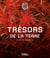 Trésors de la terre : Galérie de minéralogie