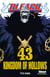 Bleach Tome 43 : kingdom of hollow