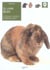 Lapin belier (le)